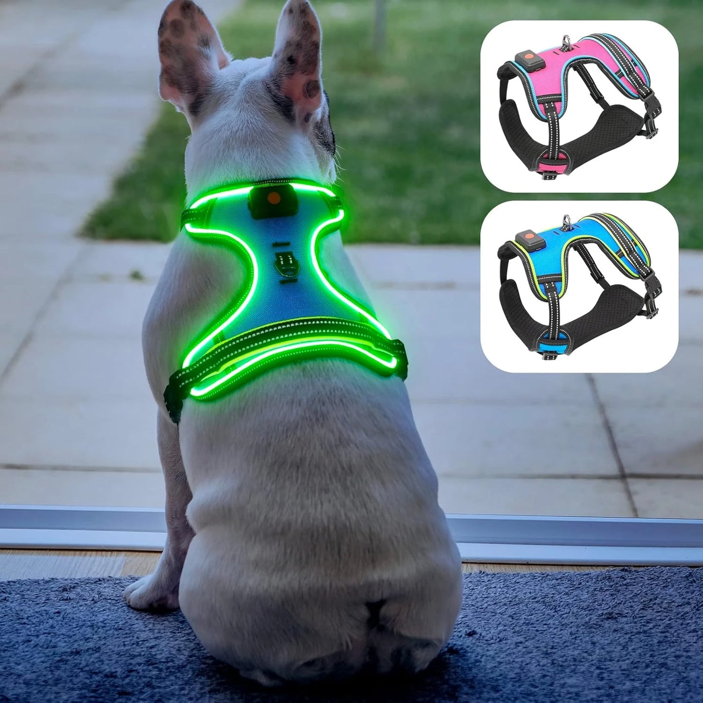 Dog Harness
