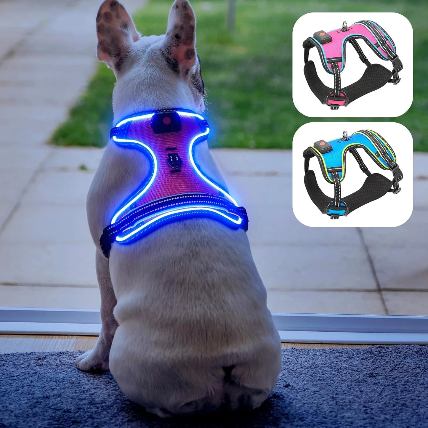 Dog Harness