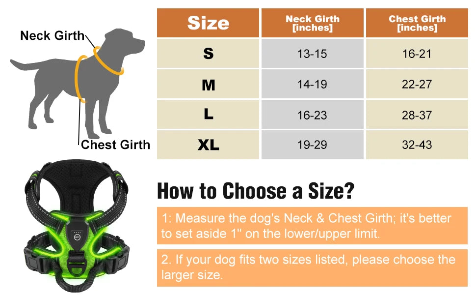 Dog Harness