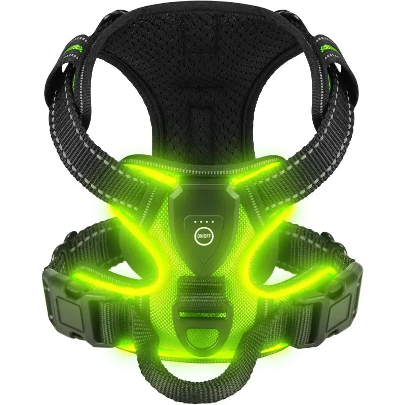 Dog Harness