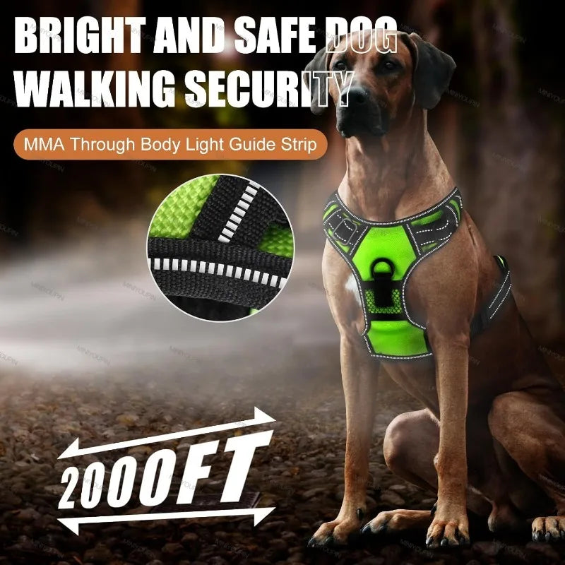 Dog Harness