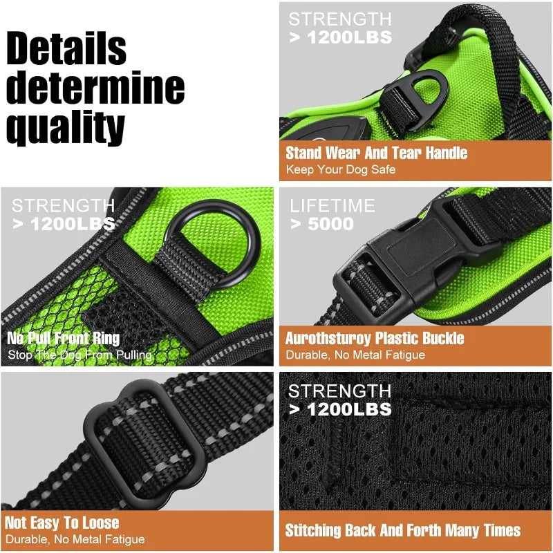 Dog Harness